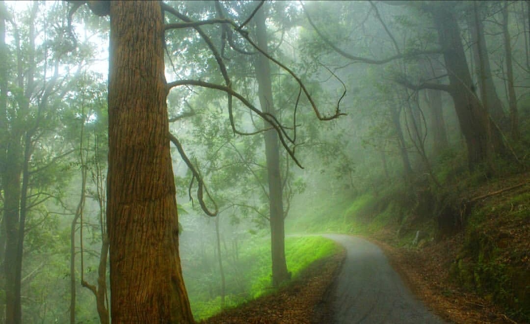 Best of Sri Lanka Tour