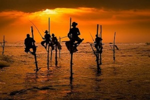 Stilt fishermen